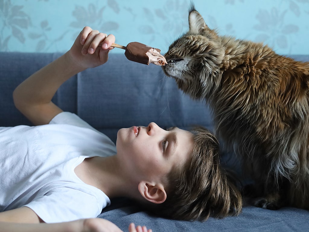 Alimentos peligrosos y tóxicos para los gatos | Osimisha